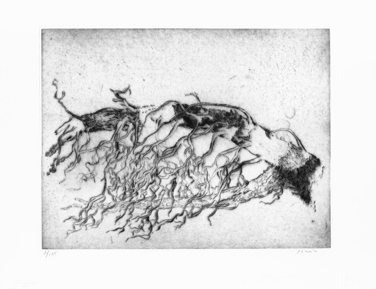 Zoran Music, Pointe-sèche, -Motif végétal-, 1973